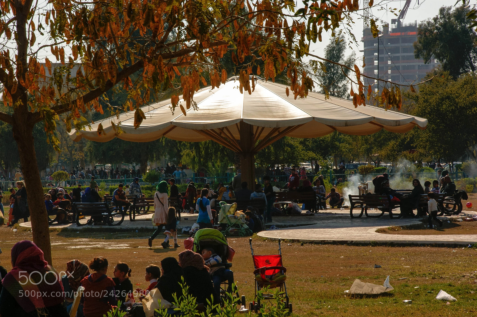 Sony Alpha DSLR-A350 sample photo. Picnic in the park photography