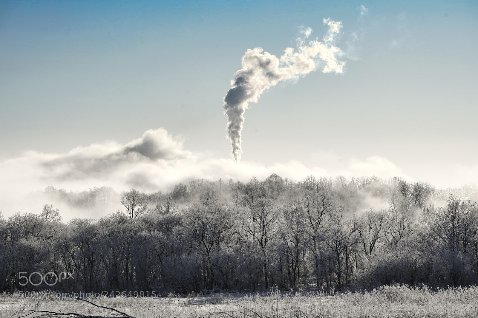 Sony a7R III sample photo. Landscape in winter photography