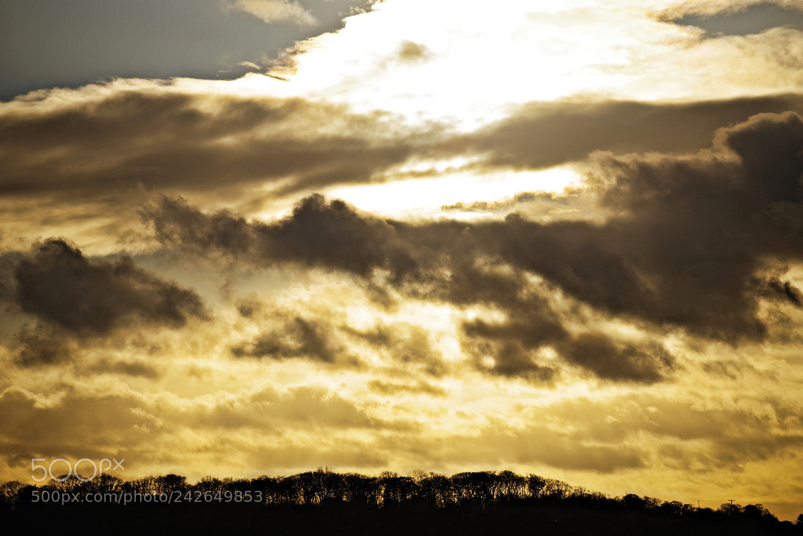 Pentax K-1 sample photo. Untitled photography