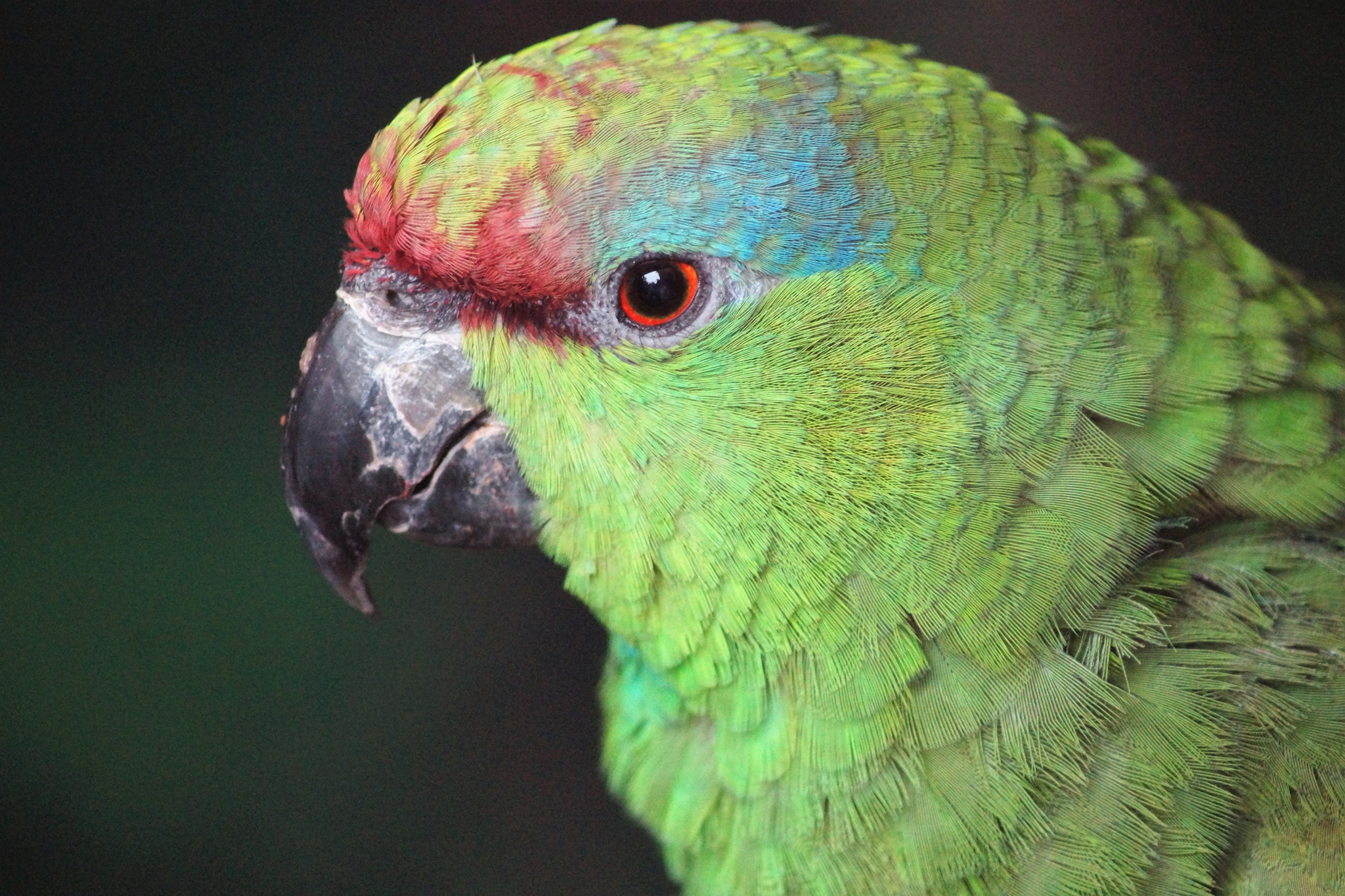 Sony 75-300mm F4.5-5.6 sample photo. Hi and hi photography