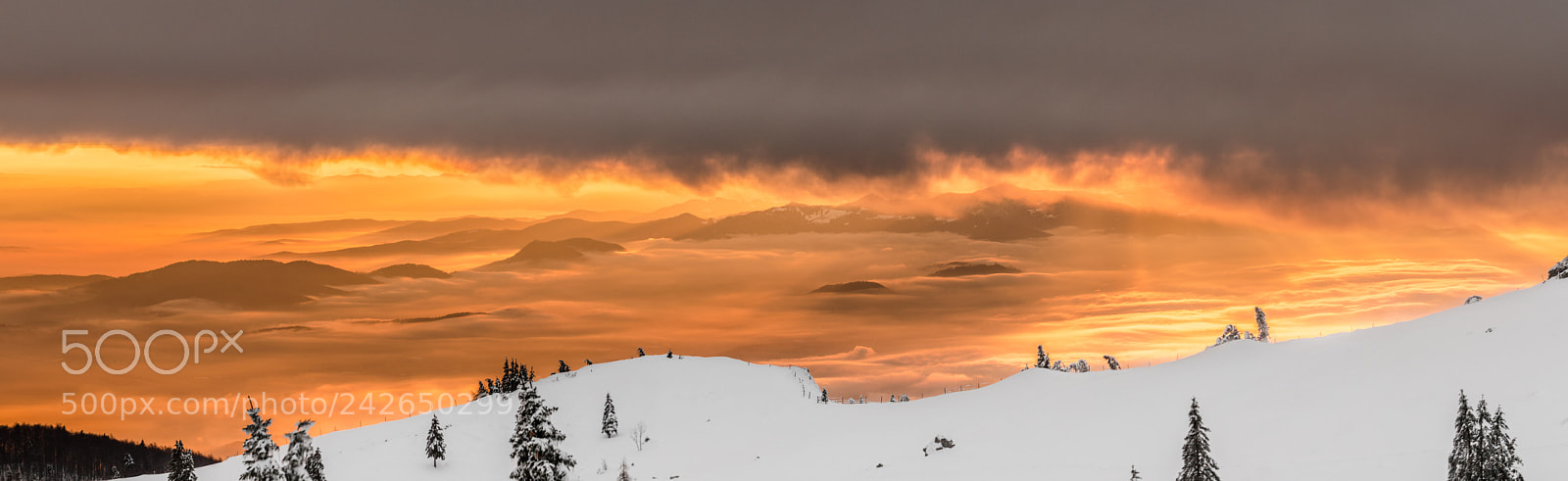 Nikon D5100 sample photo. Logarska dolina sunset photography