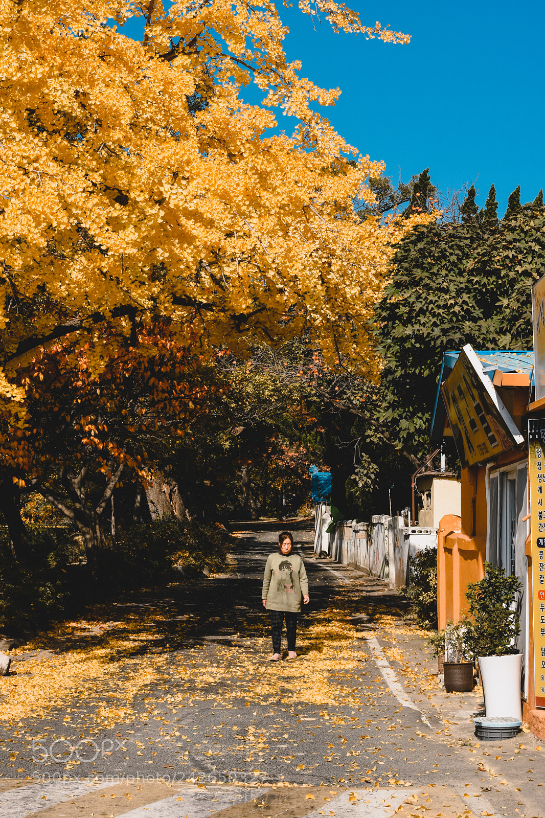 Nikon D7200 sample photo. Autumn colors photography