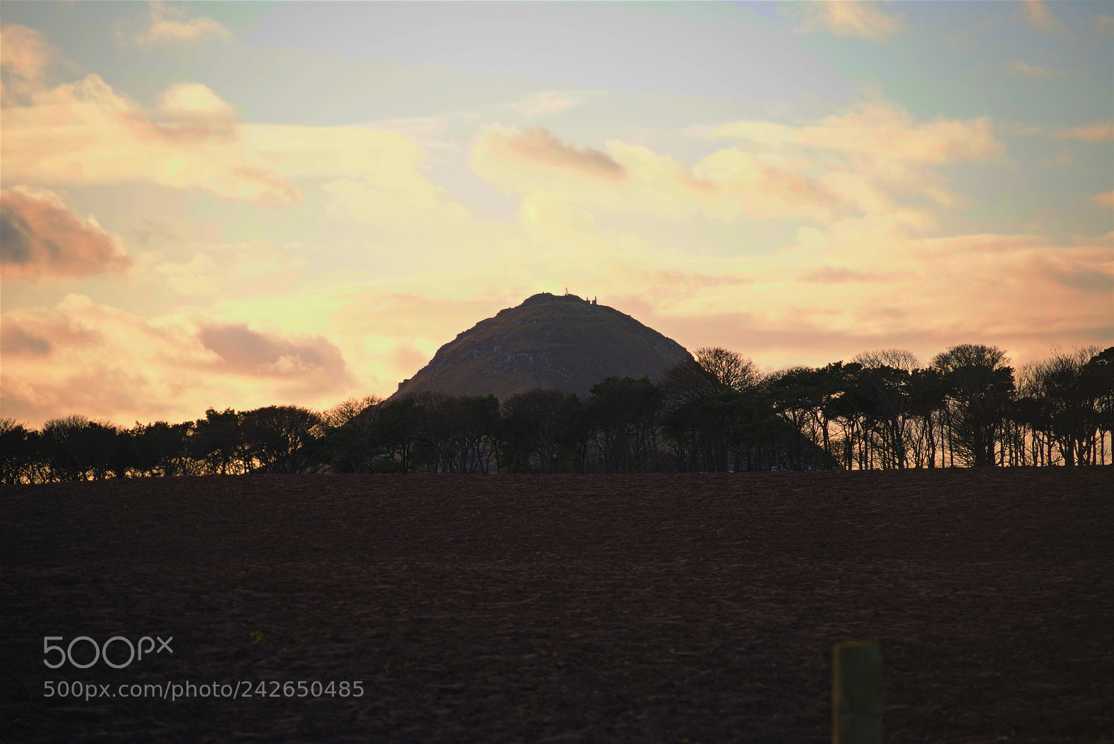 Pentax K-1 sample photo. Untitled photography