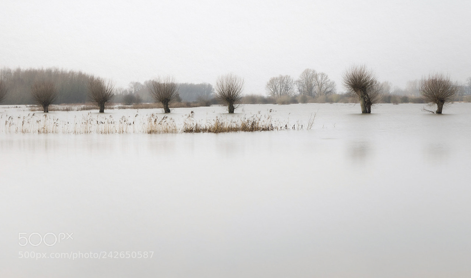 Pentax K-3 II sample photo. Floodplains wageningen (holland) photography