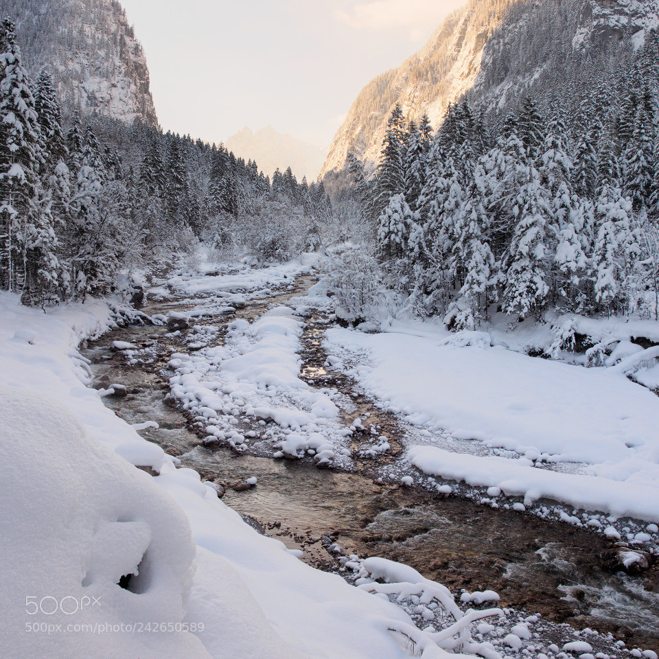 Olympus OM-D E-M1 sample photo. Winter stream photography