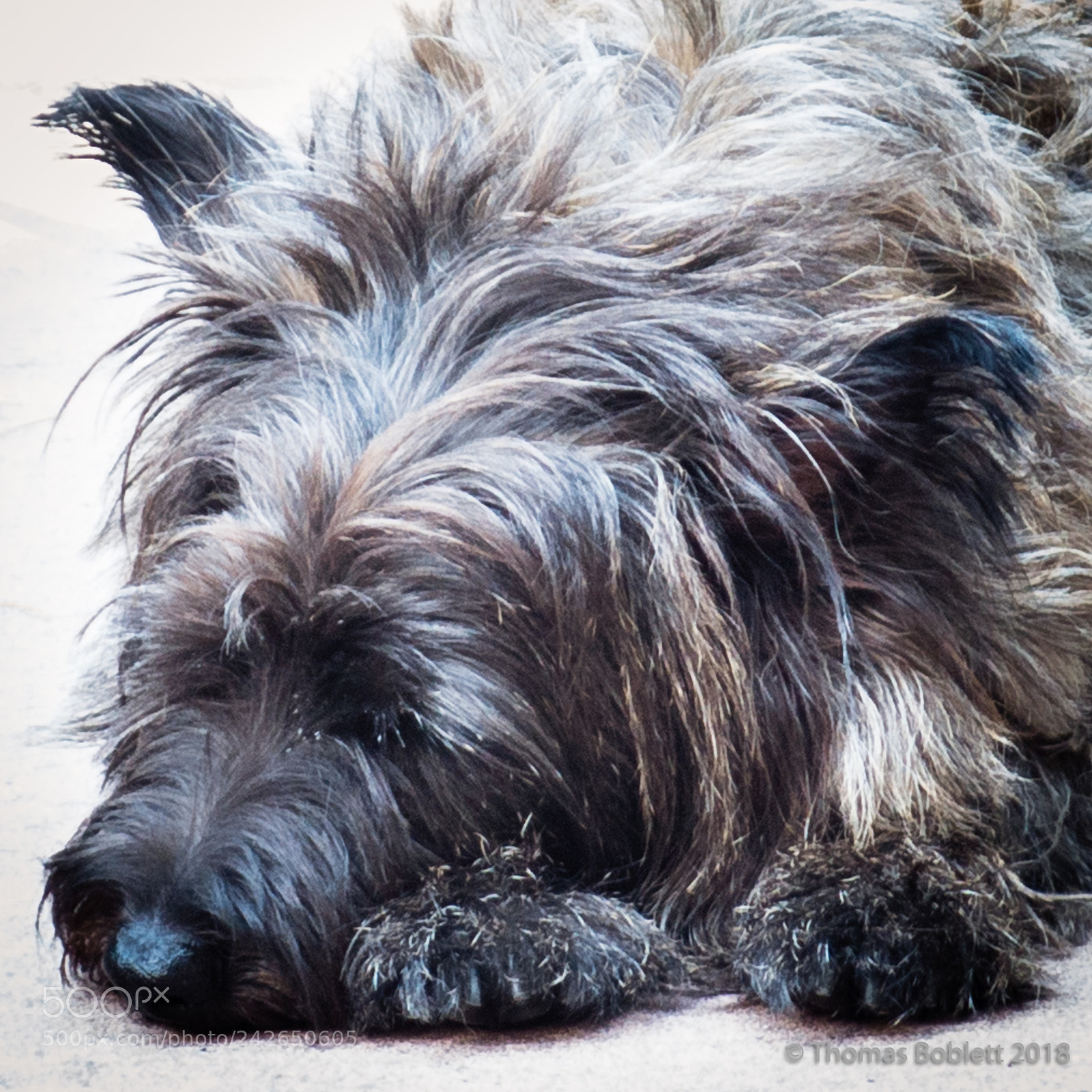Canon PowerShot G16 sample photo. Introducing hopper photography