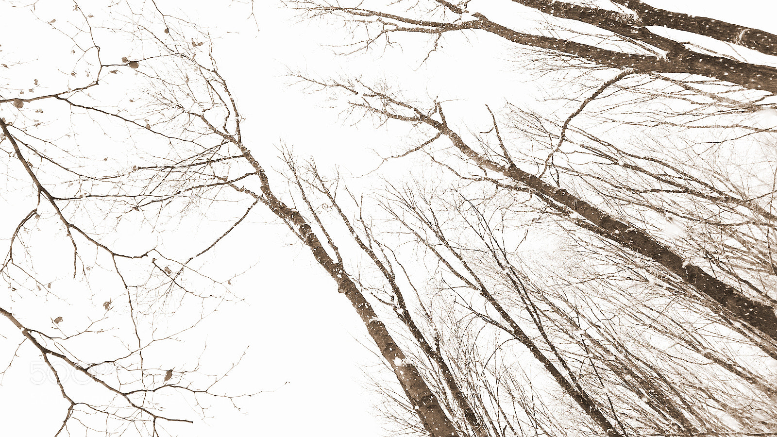 Samsung Galaxy S5 sample photo. 20150125_161802.jpg photography