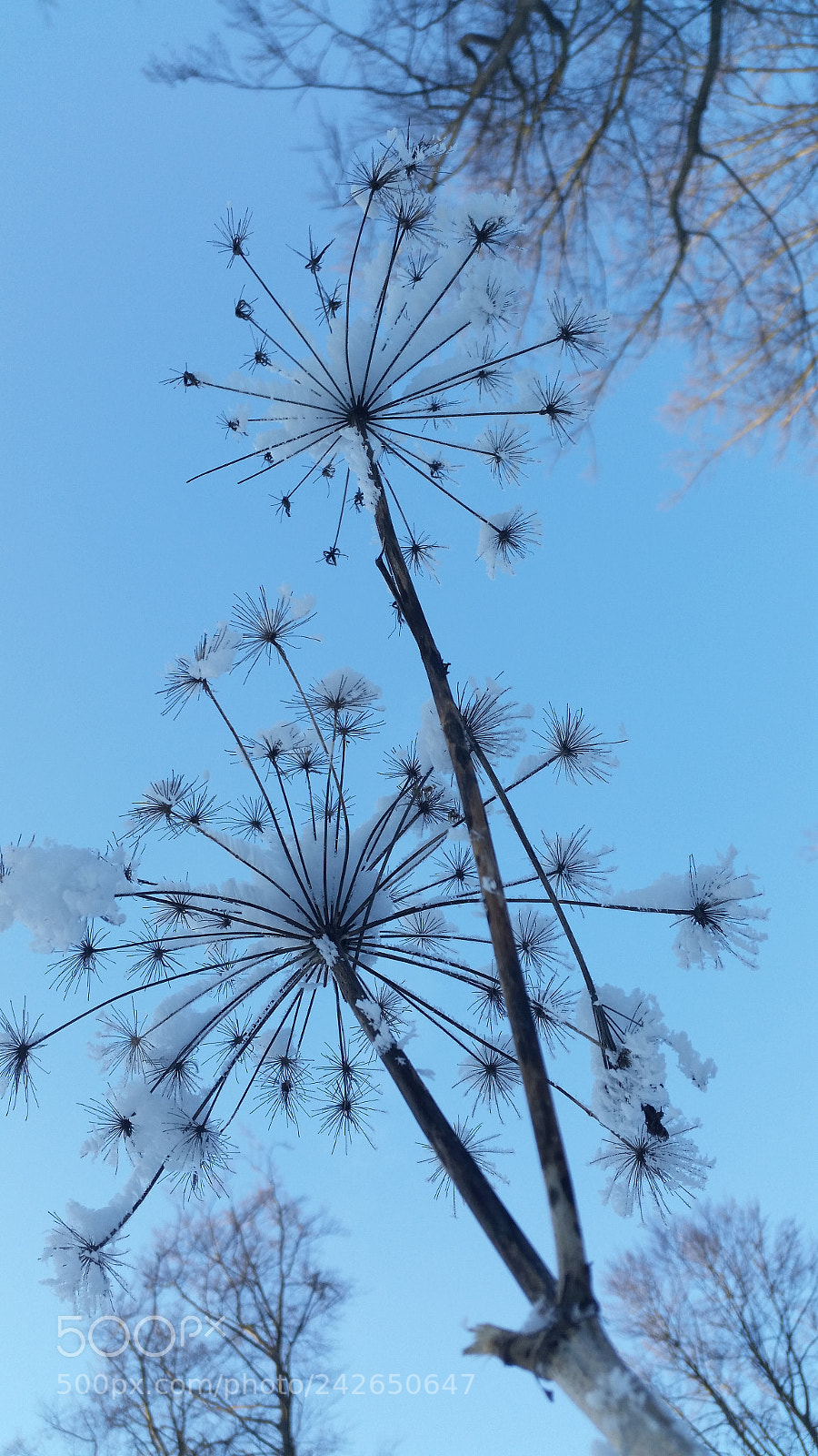 Samsung Galaxy S5 sample photo. 20160122_154941.jpg photography