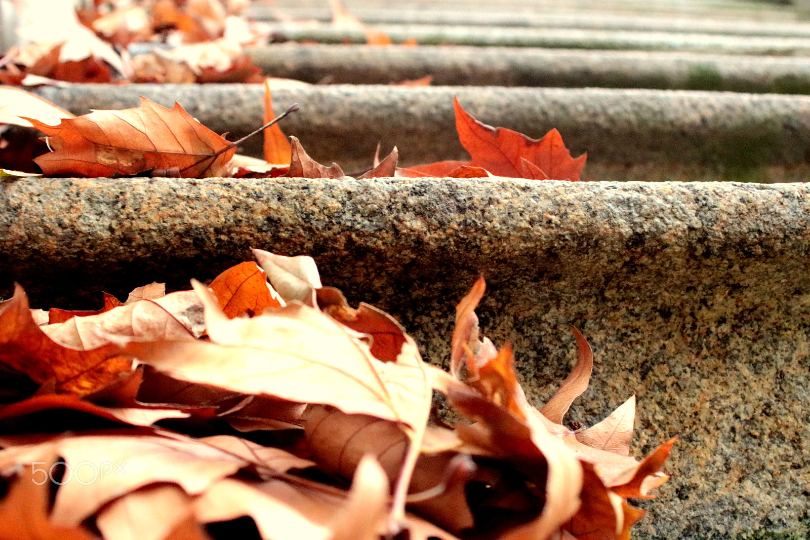 Canon EOS 750D (EOS Rebel T6i / EOS Kiss X8i) + Canon EF 28-80mm f/3.5-5.6 sample photo. Moments of autumn in color. photography