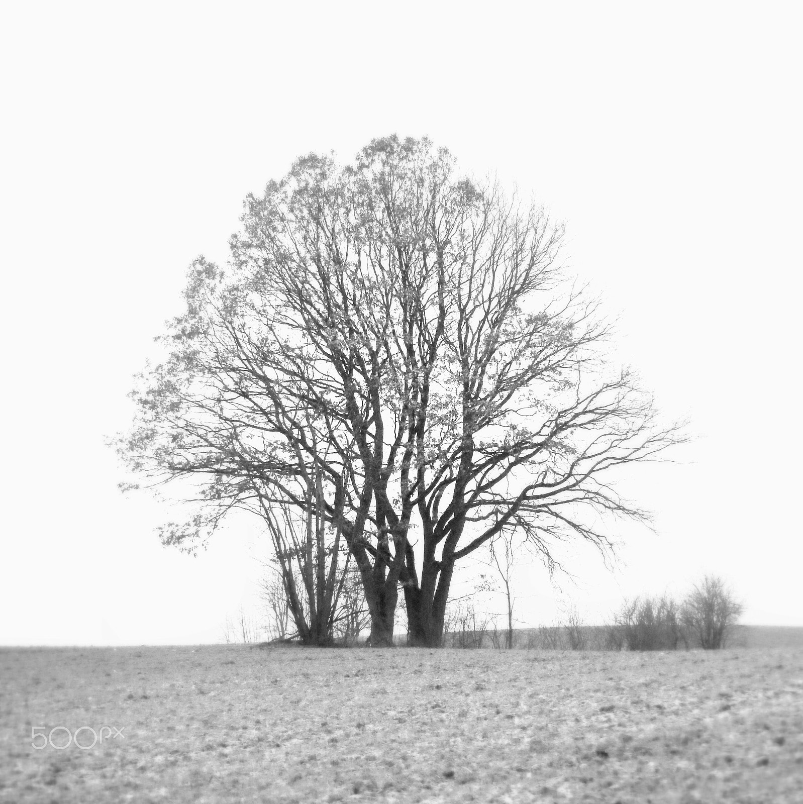 Canon EF 28-80mm f/3.5-5.6 sample photo. Stand alone photography