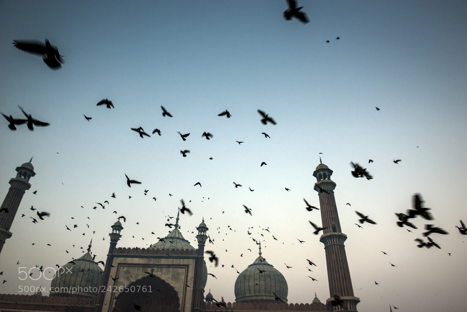 Nikon D800 sample photo. Mosque photography
