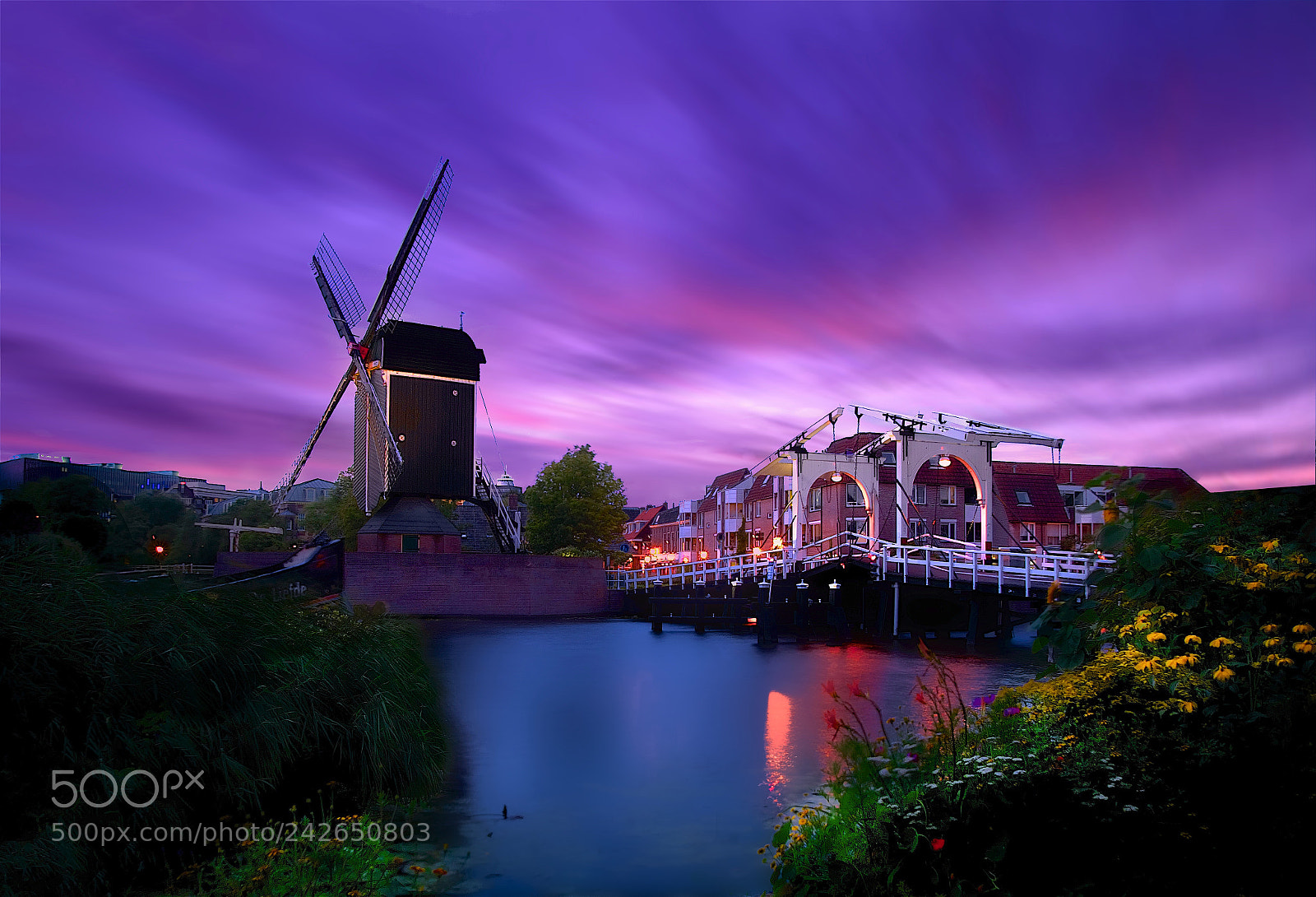 Sony a7 II sample photo. De put te leiden photography