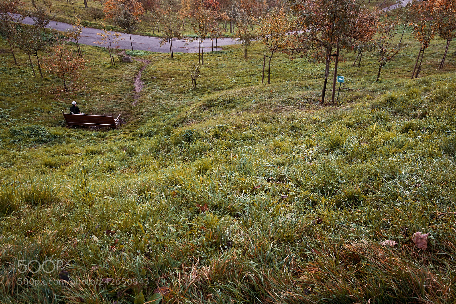 Nikon D7100 sample photo. Man alone on the photography