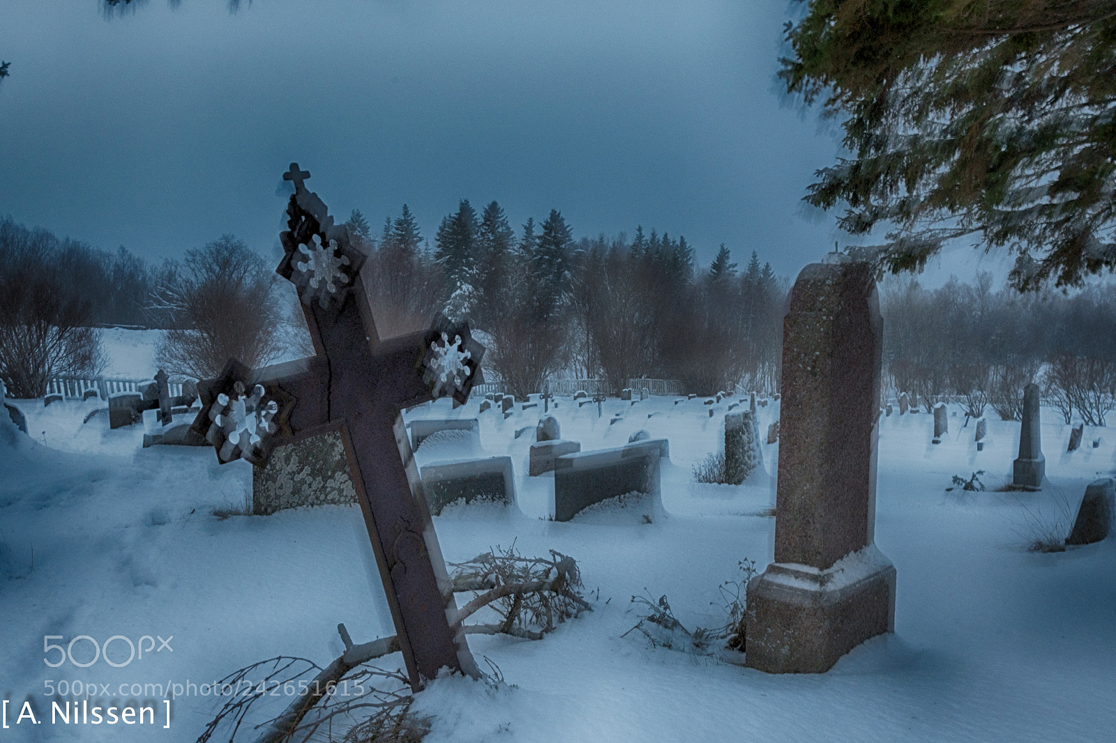 Nikon D500 sample photo. Night at the cemetery photography