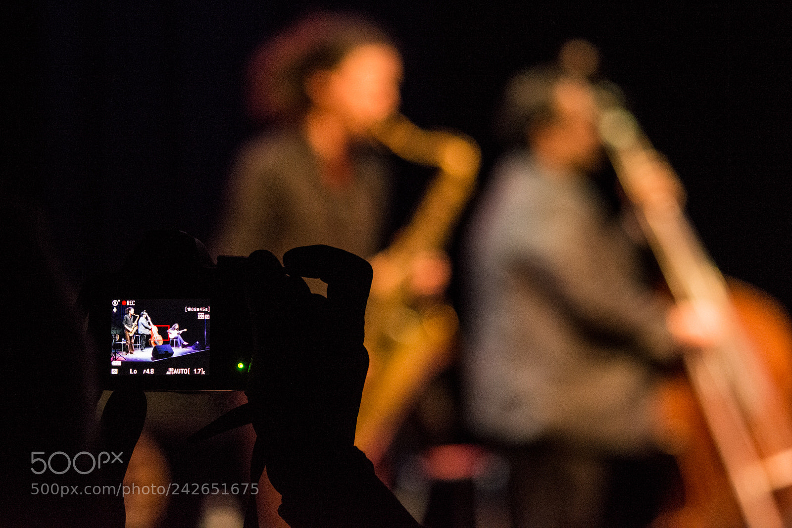 Nikon D7100 sample photo. Concert django photography