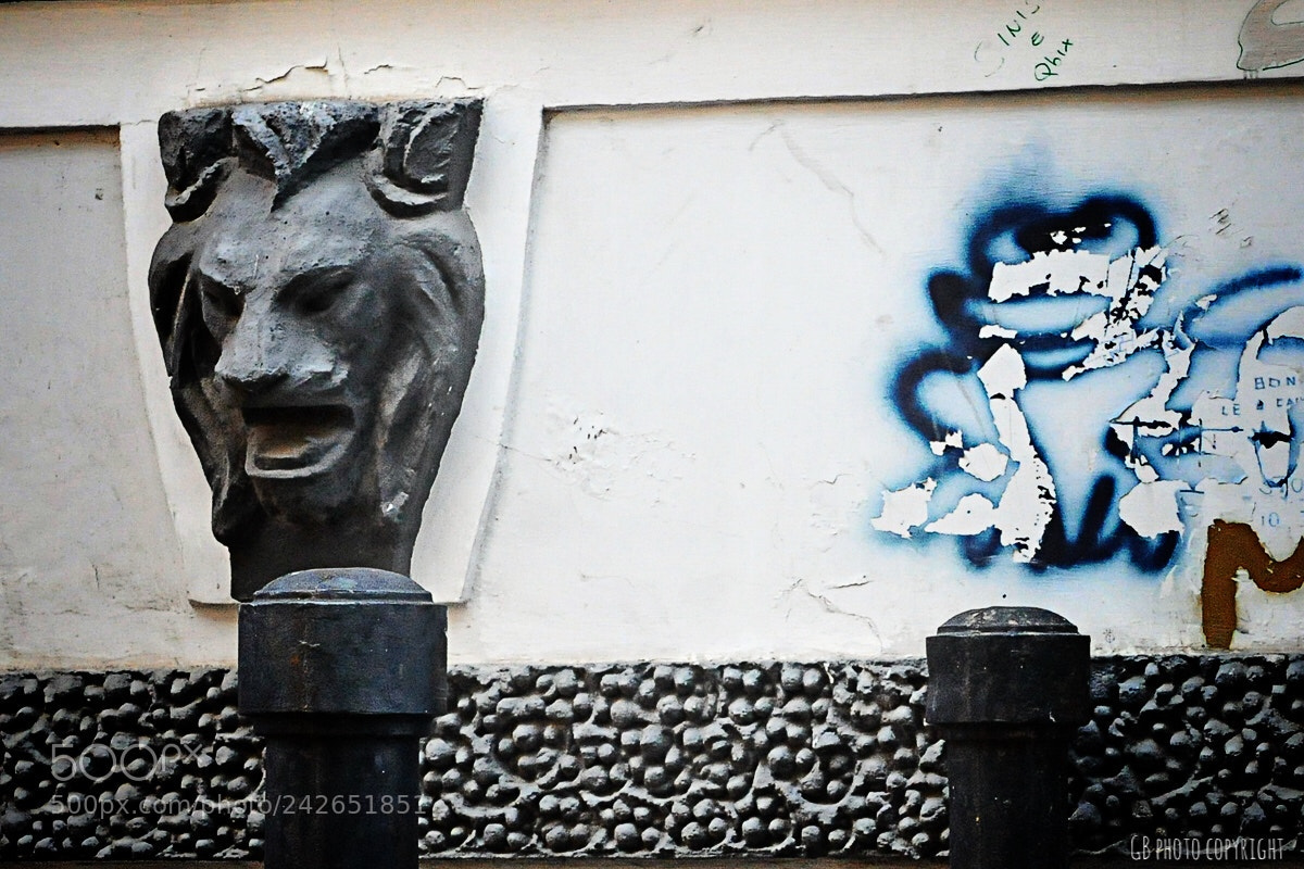 Nikon D300 sample photo. Whereisit ? photography