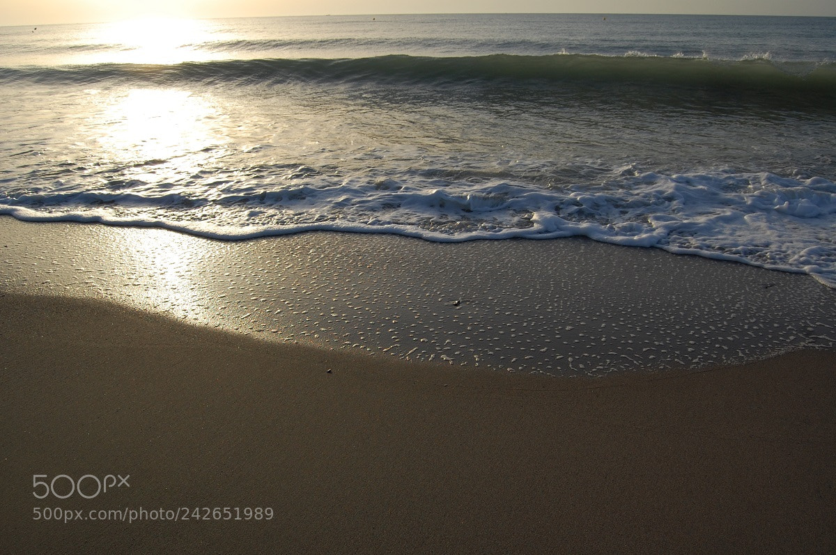 Nikon D40 sample photo. Peace photography