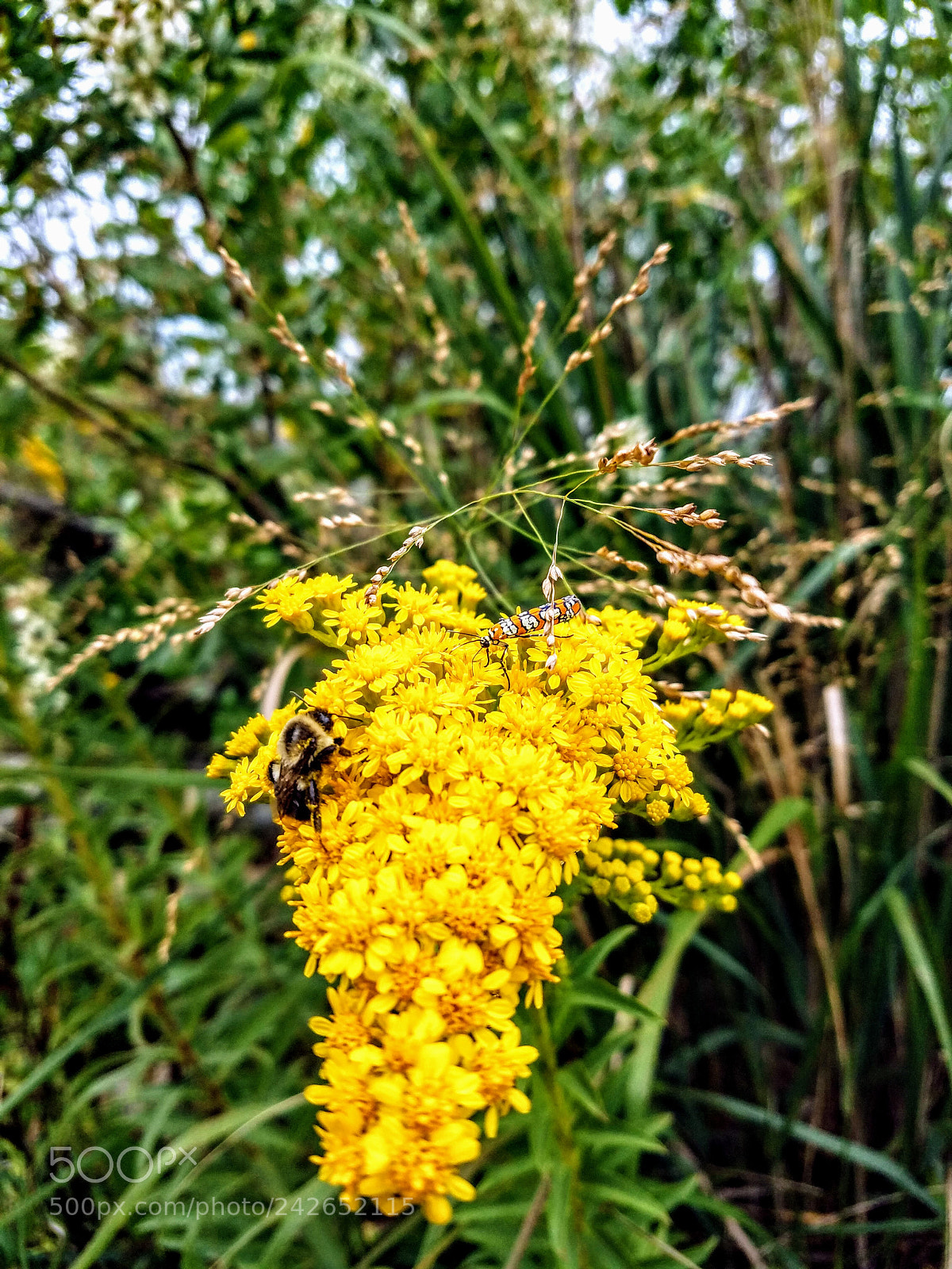 Samsung Galaxy S7 sample photo. Untitled photography