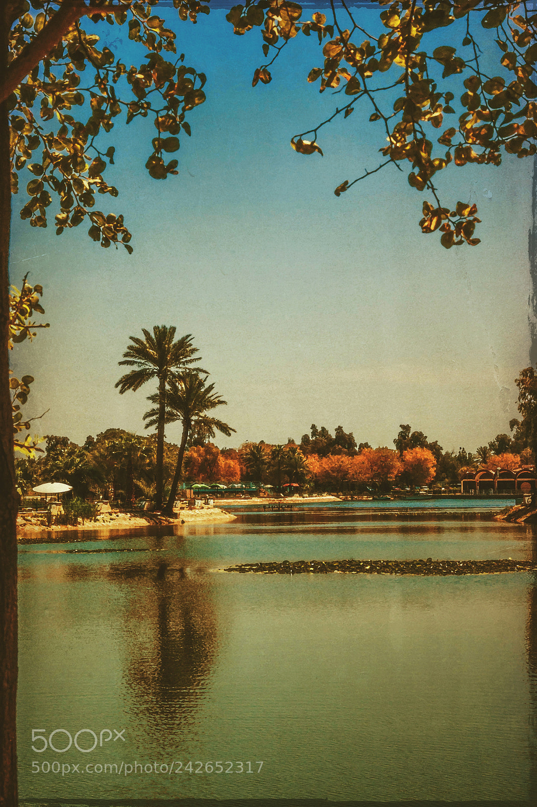 Sony Alpha DSLR-A350 sample photo. Framing in the park photography