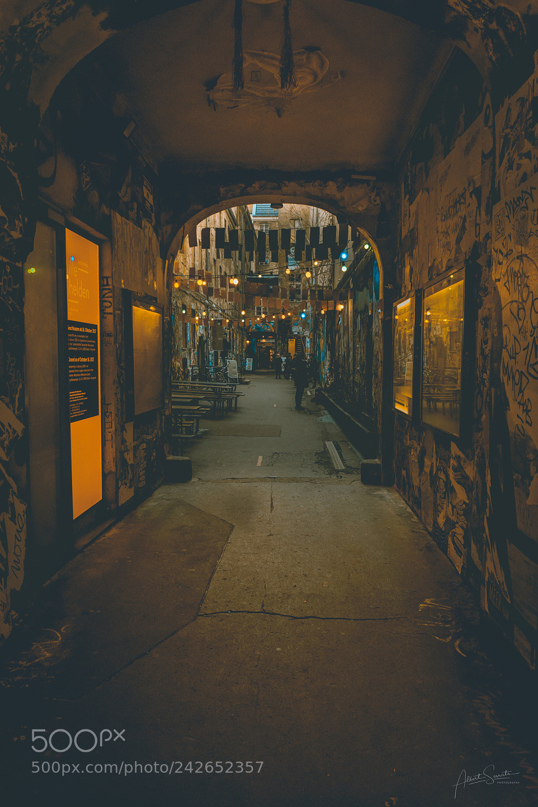Nikon D5500 sample photo. Dead chicken alley photography
