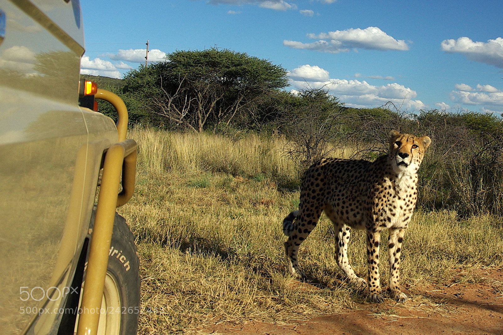 Pentax K10D sample photo. Namibie j photography