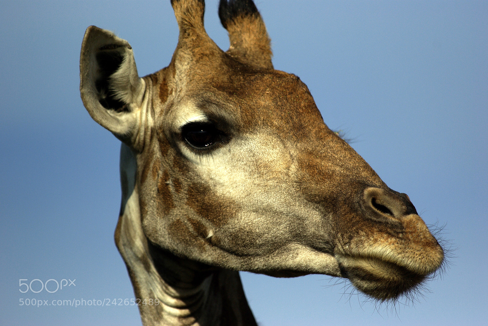 Pentax K10D sample photo. Namibie j photography