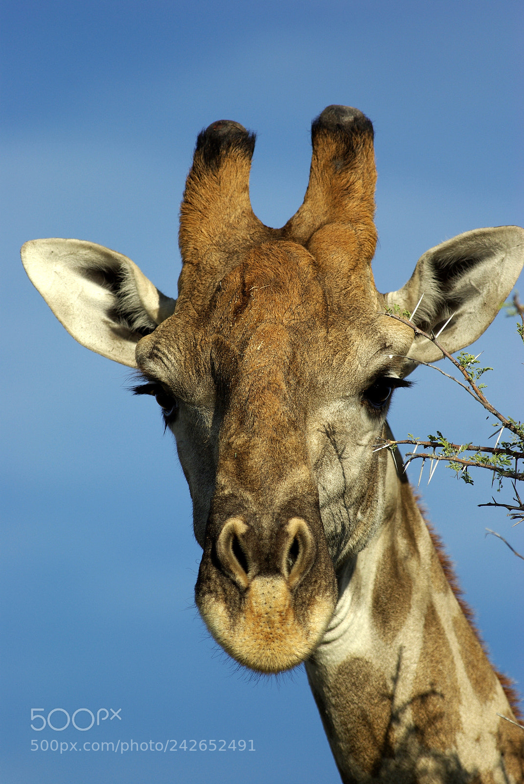 Pentax K10D sample photo. Namibie j photography
