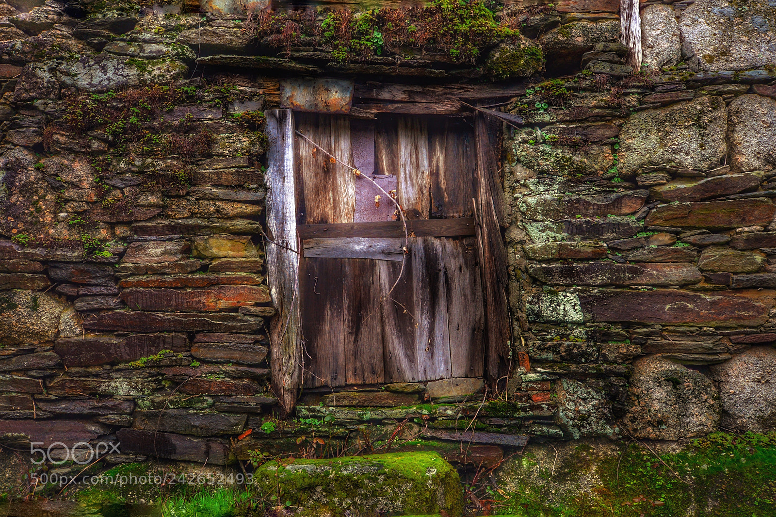 Nikon D610 sample photo. Old door photography