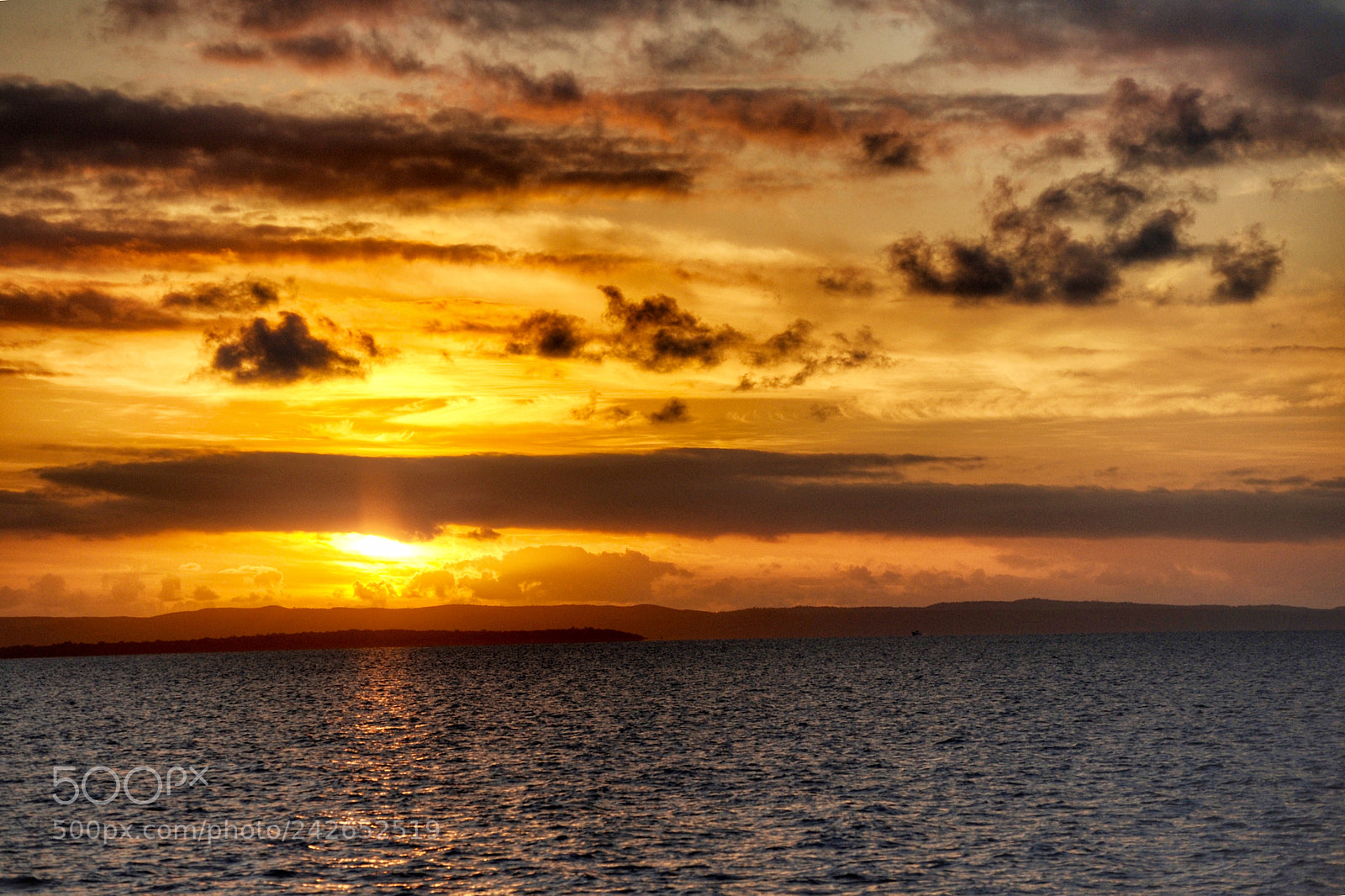 Nikon D700 sample photo. 《sunrise》 photography
