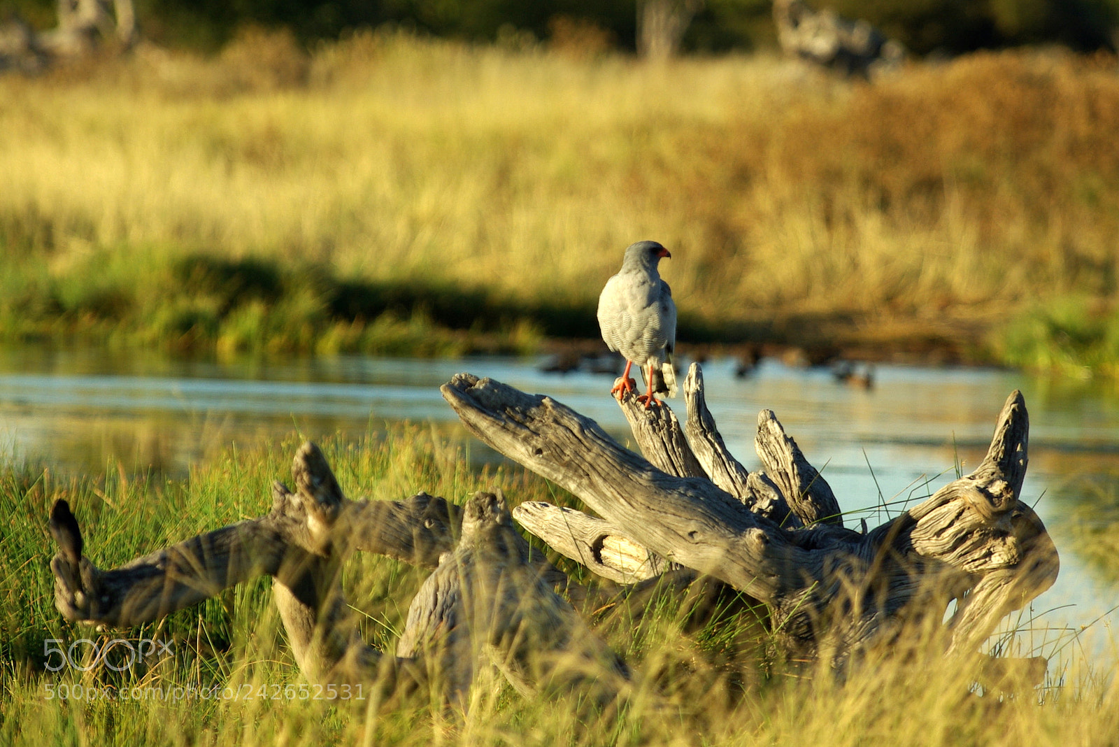 Pentax K10D sample photo. Namibie j photography