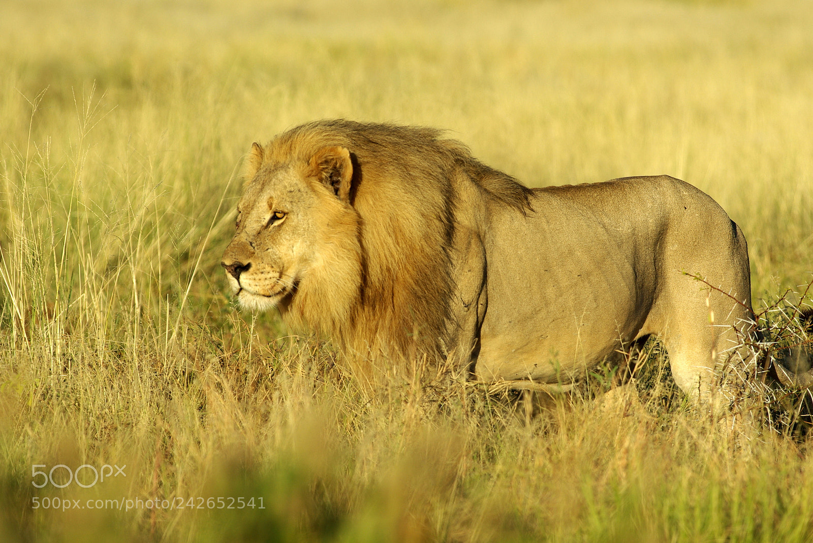 Pentax K10D sample photo. Namibie j photography