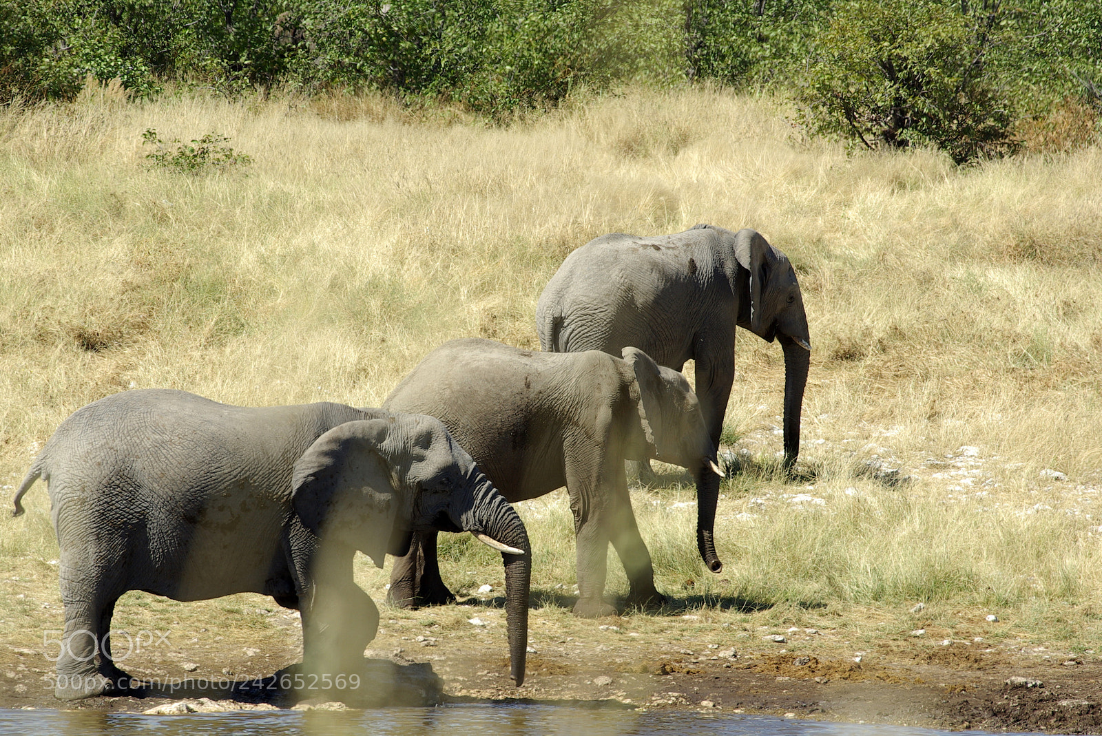 Pentax K10D sample photo. Namibie j photography