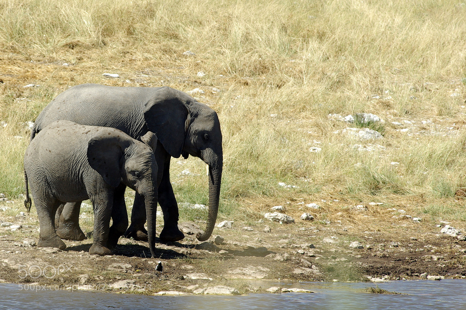 Pentax K10D sample photo. Namibie j photography