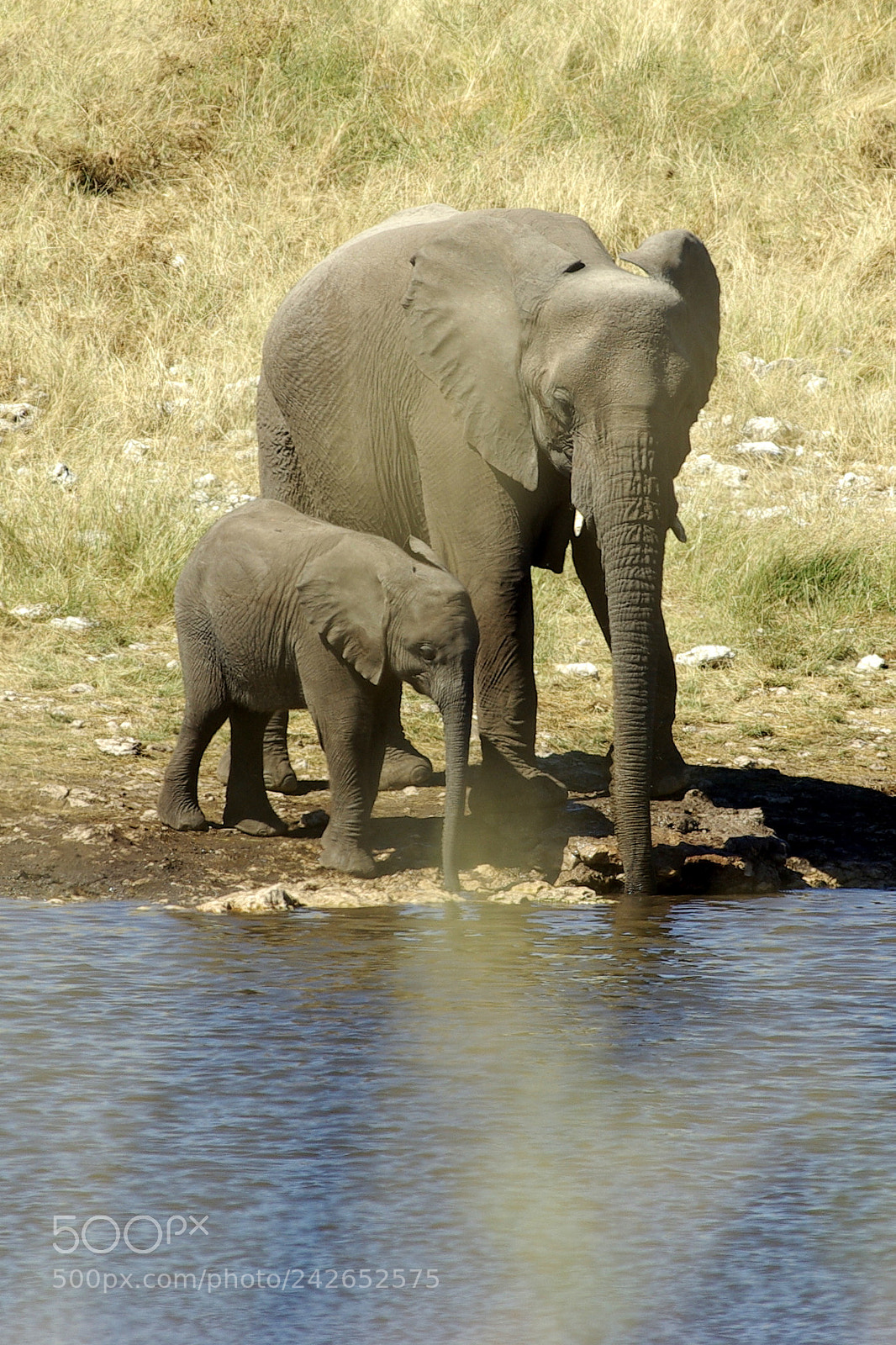 Pentax K10D sample photo. Namibie j photography