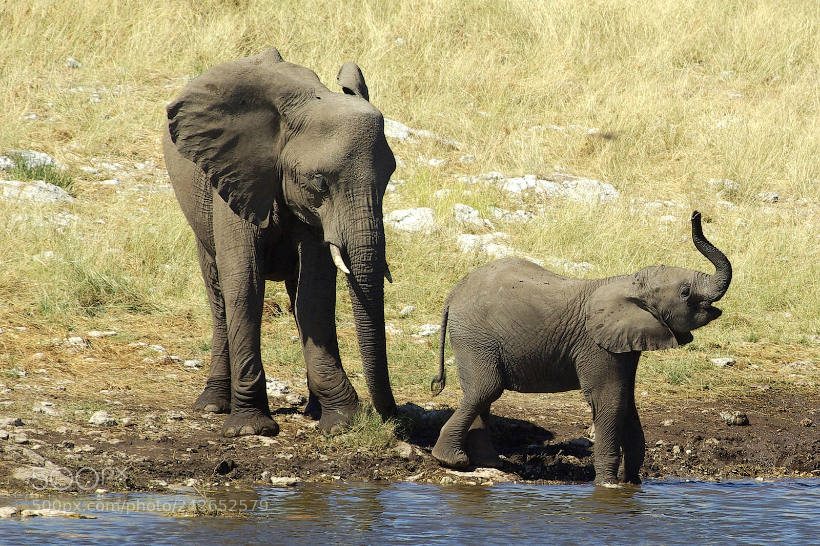 Pentax K10D sample photo. Namibie j photography