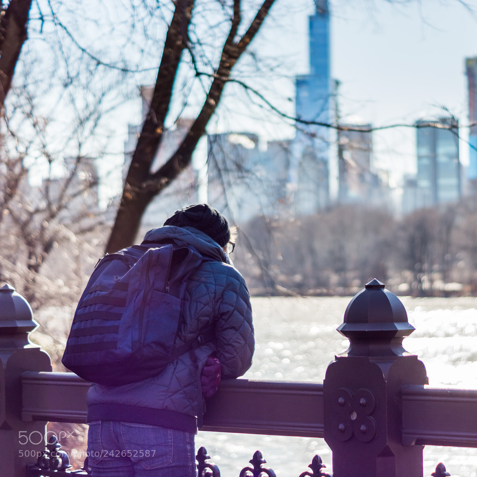 Sony SLT-A65 (SLT-A65V) sample photo. Park views photography