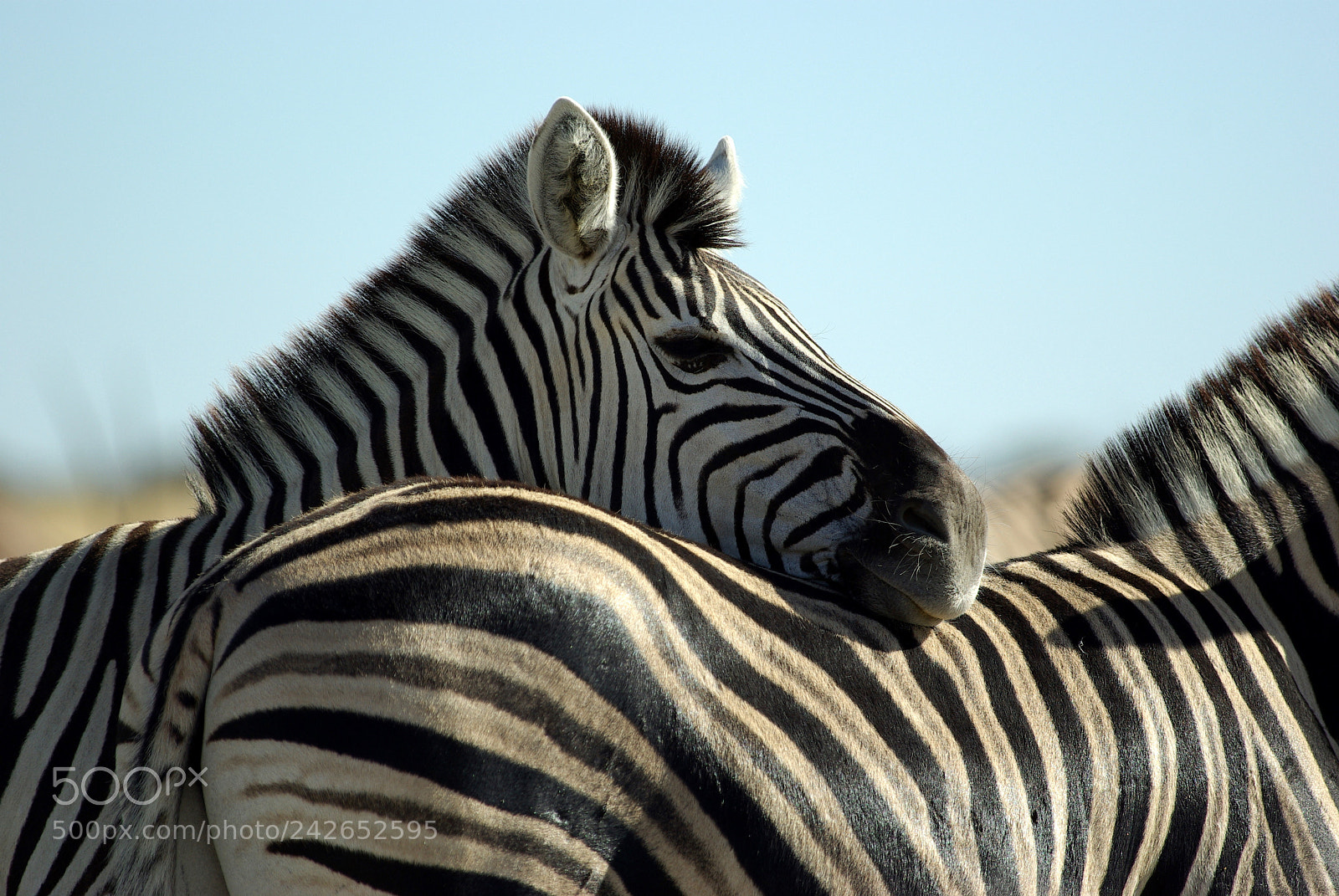 Pentax K10D sample photo. Namibie j photography