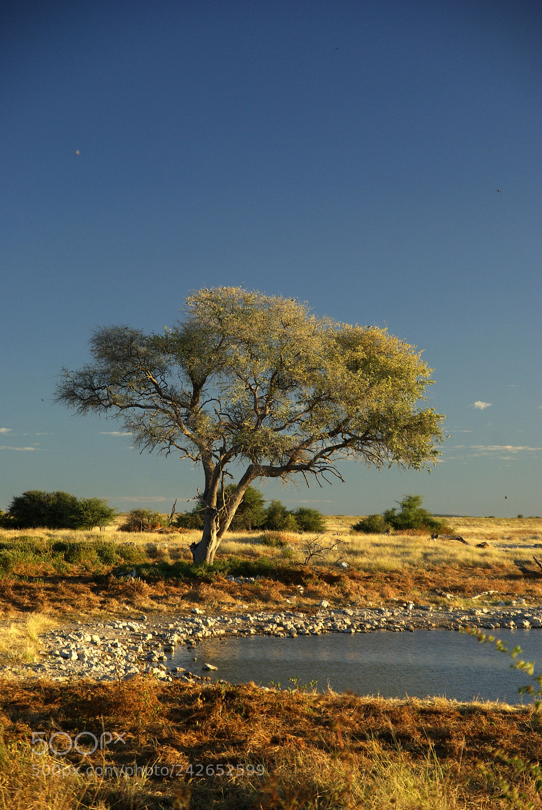 Pentax K10D sample photo. Namibie j photography
