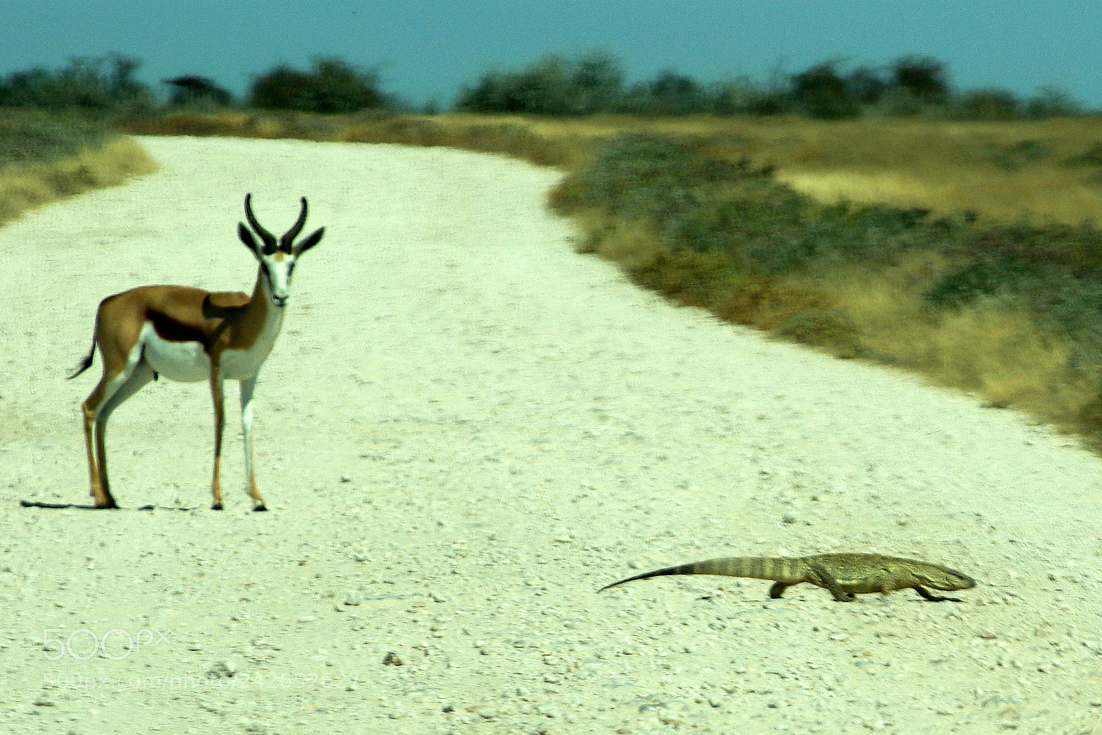 Pentax K10D sample photo. Namibie j photography