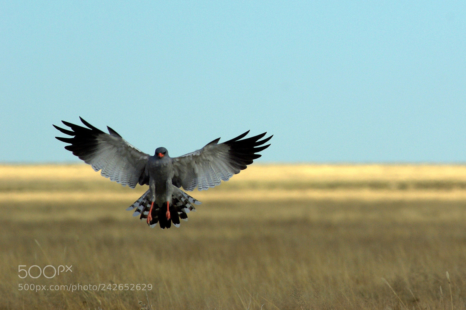 Pentax K10D sample photo. Namibie j photography