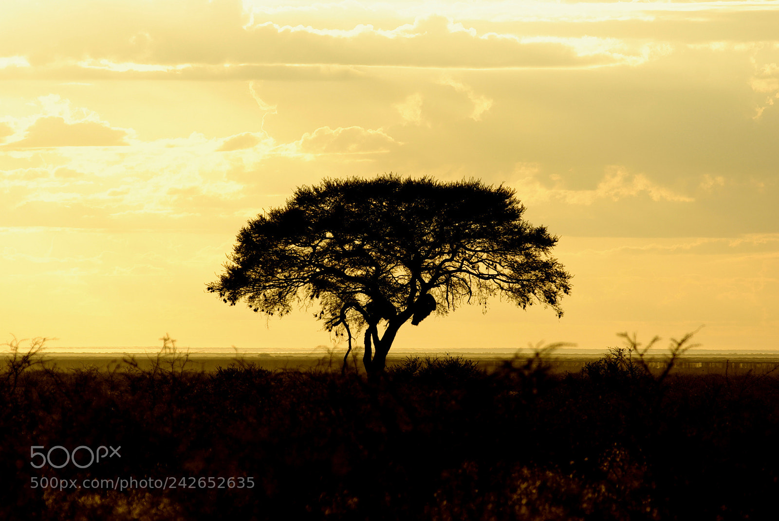 Pentax K10D sample photo. Namibie j photography