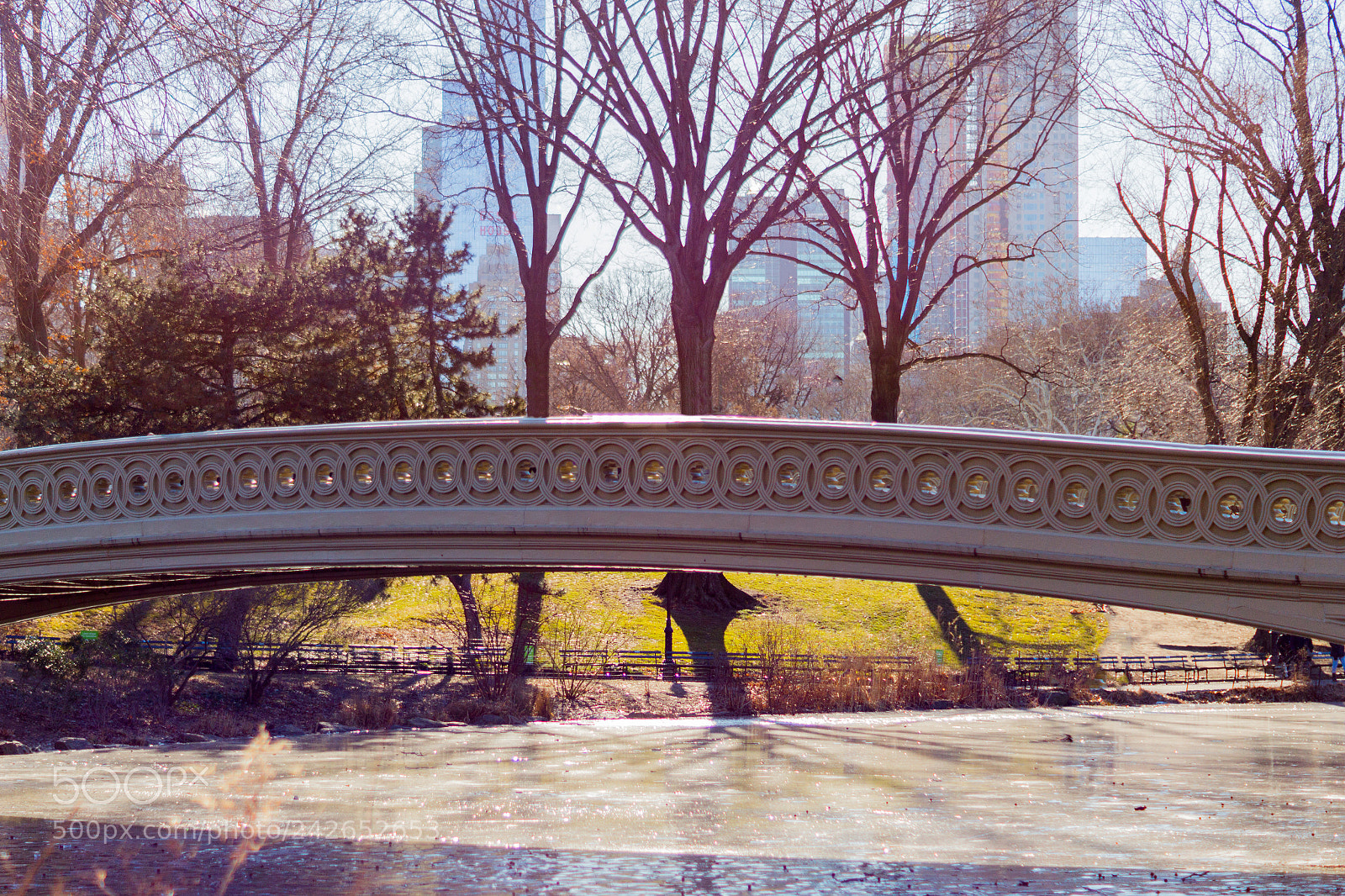Sony SLT-A65 (SLT-A65V) sample photo. The bridge photography