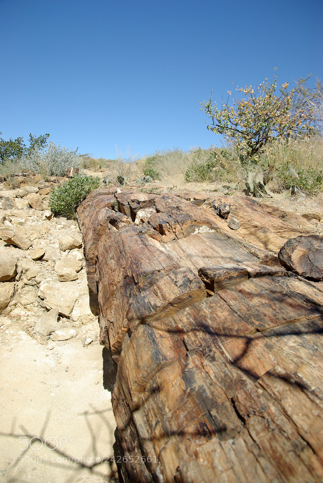 Pentax K10D sample photo. Namibie j photography