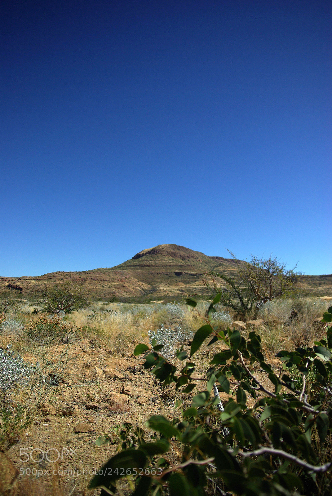 Pentax K10D sample photo. Namibie j photography