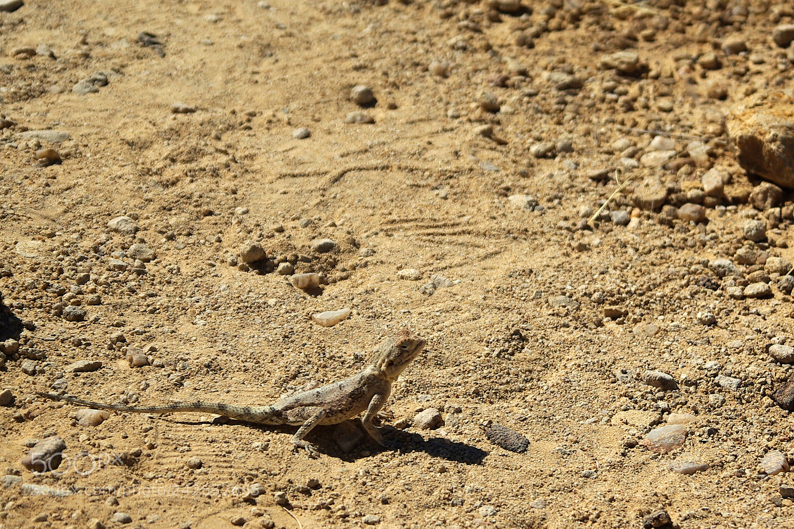 Pentax K10D sample photo. Namibie j photography