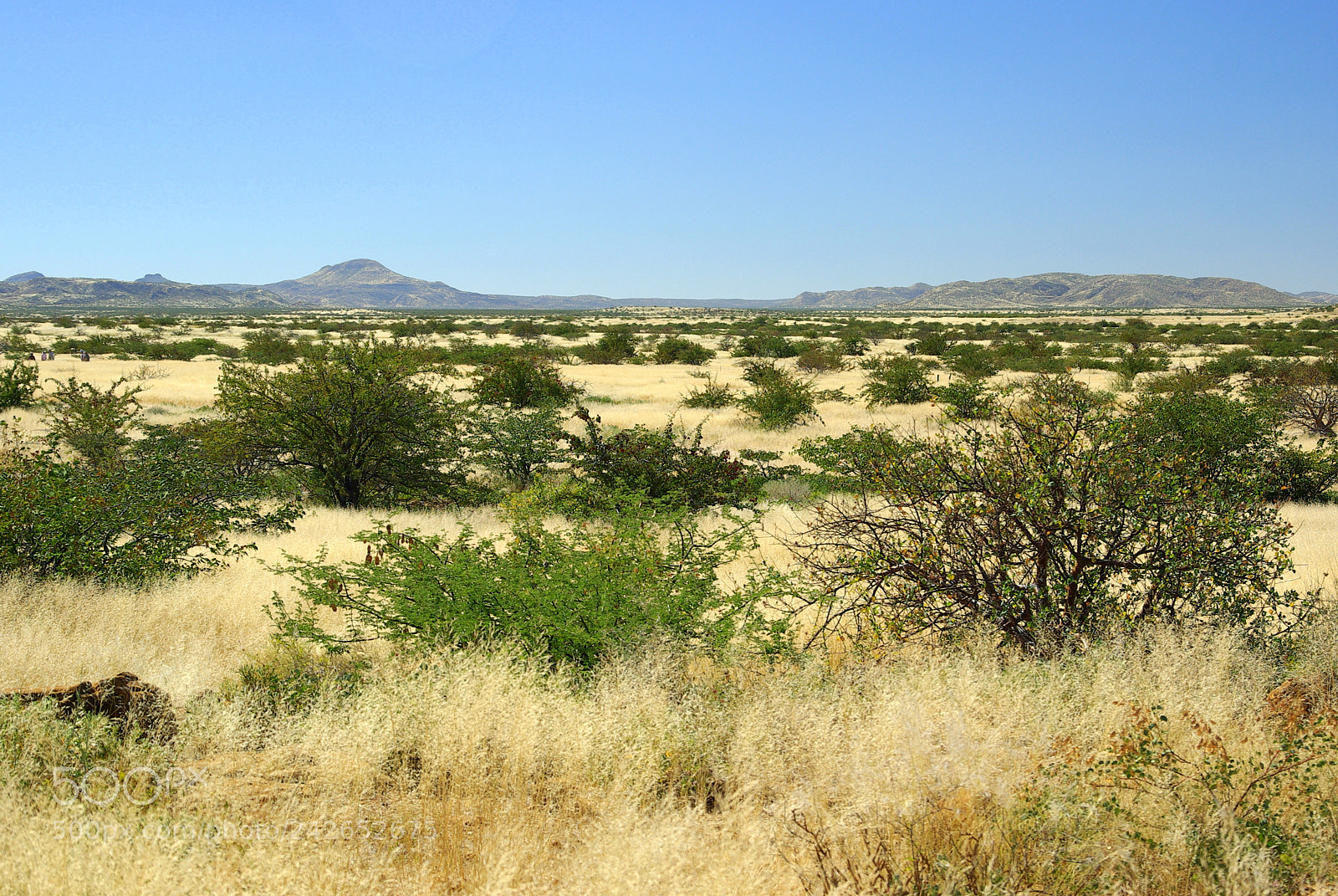 Pentax K10D sample photo. Namibie j photography