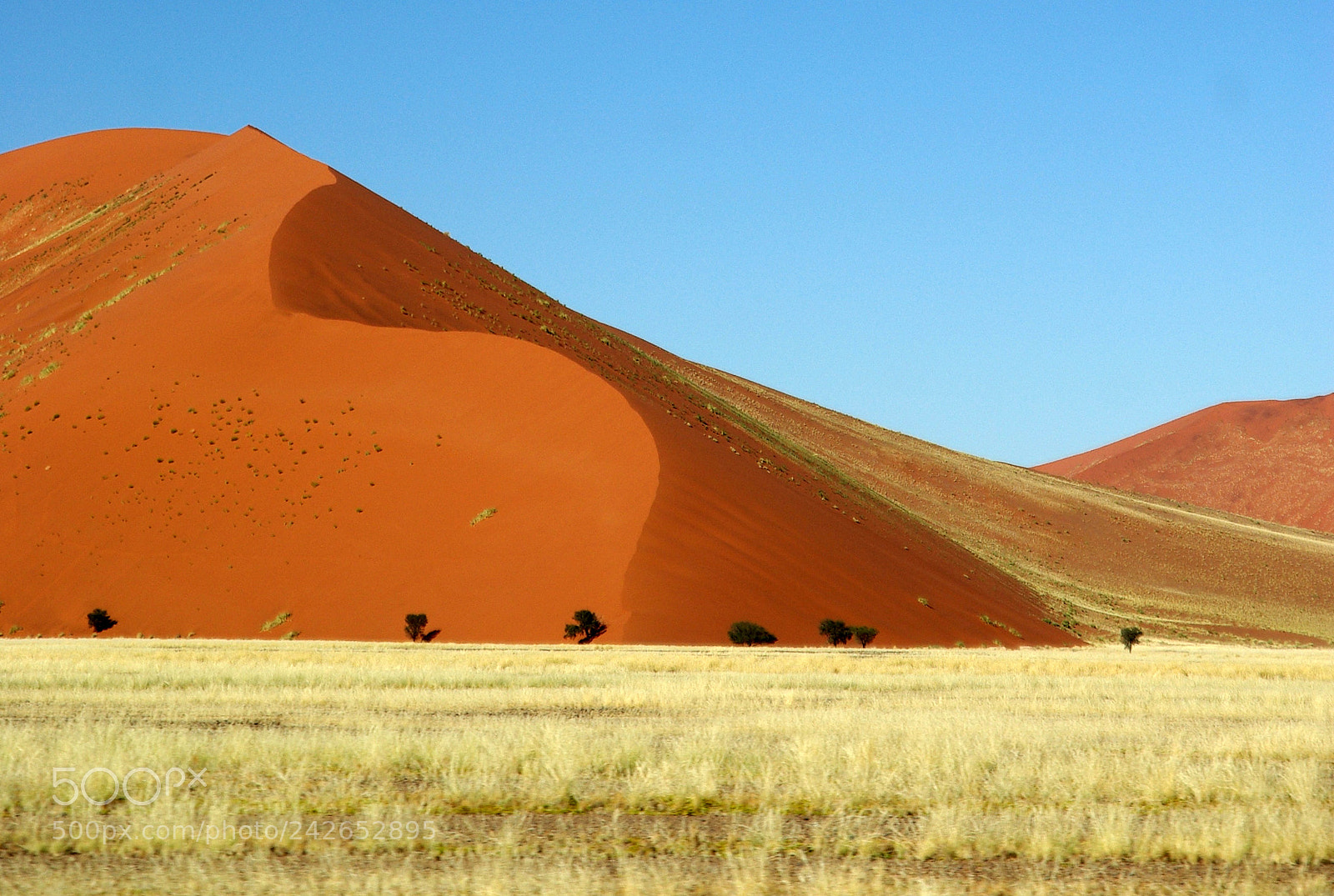 Pentax K10D sample photo. Namibie j photography