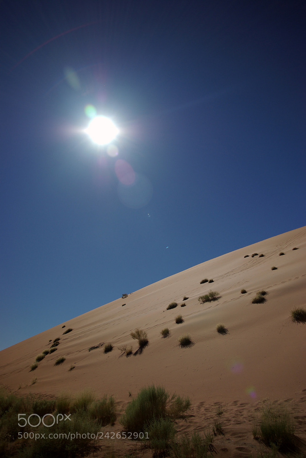 Pentax K10D sample photo. Namibie j photography