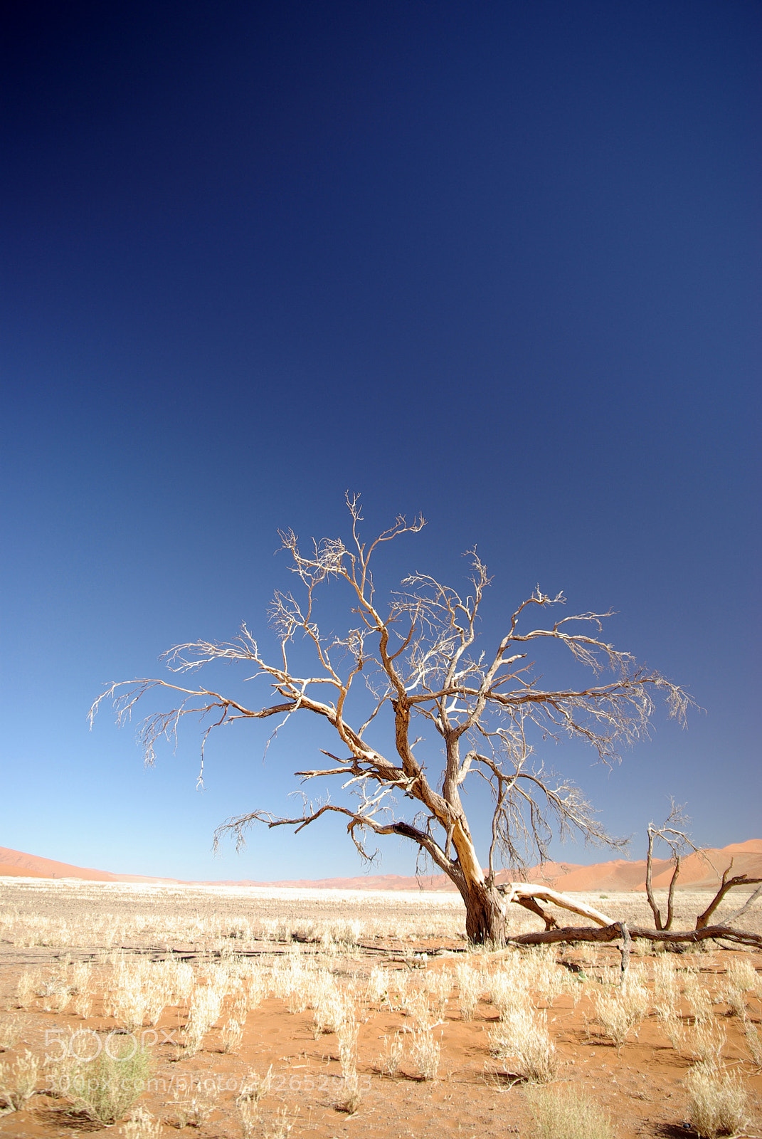 Pentax K10D sample photo. Namibie j photography
