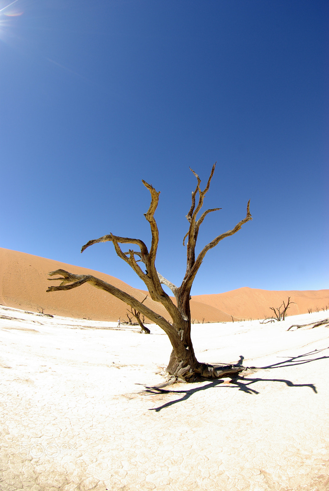 Pentax K10D sample photo. Namibie j photography